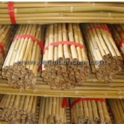 Bitki Destek Çubuğu Bambu 180 cm 14 - 16 mm  (10 Adet Fiyatıdır)