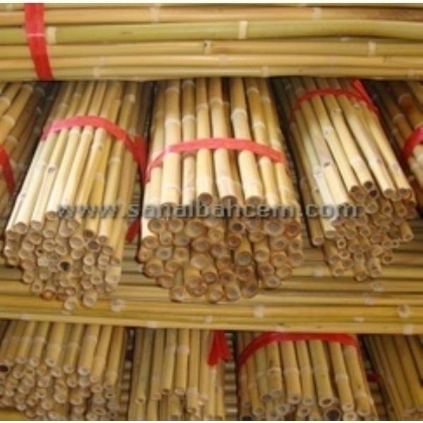 Bitki Destek Çubuğu Bambu  | Bitki Destek Çubuğu Bambu 180 cm 12 - 14 mm  (10 Adet Fiyatıdır) | 0173 | 